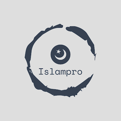 haysan01's profile picture. 