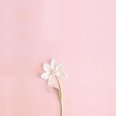 n__ico00's profile picture. 待ってるよぉ♡