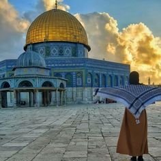 AgirlinGaz51864's profile picture. From the heart of Gaza 📸 Sharing untold stories & daily life under siege 🕊 A voice for hope, peace & humanity 🌍 Let’s keep Gaza alive