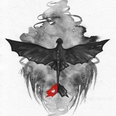 YCaroccis's profile picture. 