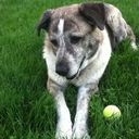 Michael Plain - @michael_plain - Twitter