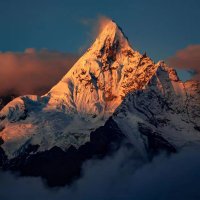 install_alts (@install_btc) 's Twitter Profile