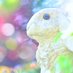 じんグウジ@26、27日京成バラ園 (@jinguji30) Twitter profile photo じんグウジ@26、27日京成バラ園 (@jinguji30) Twitter profile photo