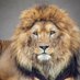 glombuk lion (@glombuk) Twitter profile photo glombuk lion (@glombuk) Twitter profile photo