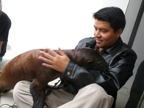 WilfredoAngulo's profile picture. Periodista y comunicador, cinéfilo, sibarita y un largo etc. Interesado en el periodismo económico y digital. Opino a título personal.