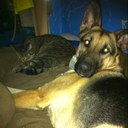 gary luker - @gary_luker - Twitter