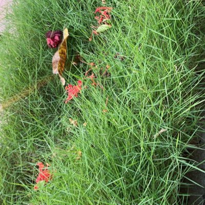 dyqqqxxc's profile picture. Yteam sejak lahir