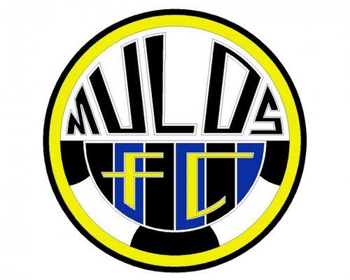 MulosFC's profile picture. Club de futbol, de los equipos grandes del futbol amateur en Guadalajara
