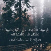 مشعل الحربي (@mesh77899) 's Twitter Profile