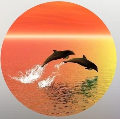 Tibisay89308001's profile picture. 