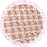 いなり (@bara_0718) 's Twitter Profile