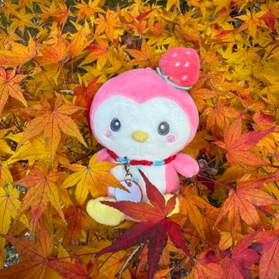 弱小アカウントでしたが、アカウントを乗っ取られました💦 ほとんどポストしませんが、JO1の愛は大きい拓実寄りの箱推しJAMです🍓