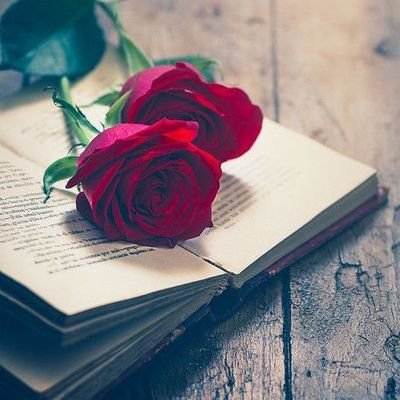 mahisrkfan2's profile picture. Allah is Great ❤