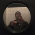 Lieve Noels 🕉 (@lievenoels) Twitter profile photo Lieve Noels 🕉 (@lievenoels) Twitter profile photo