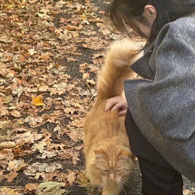 zixuan70943's profile picture. 