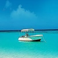PanamaCityBeach.com (@mypcbeach) 's Twitter Profile