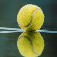 Tennis History 🎾🇫🇷 (@tennishistory73) 's Twitter Profile Photo Tennis History 🎾🇫🇷 (@tennishistory73) 's Twitter Profile Photo