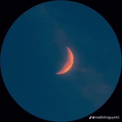 Anthonieeeeyyyy's profile picture. About fun