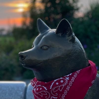 quantumsafu's profile picture. 全財産量子耐性 = $CELL @cellframenet