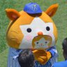 y__baystars's profile picture. baystars #☆  スターマンがだいすきです🐹 **📸写真の無断転載はご遠慮ください**