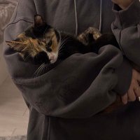 sksjshajajh (@ca7tp) 's Twitter Profile
