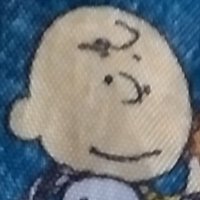 CharlieBrown (@charleswesbrown) 's Twitter Profile Photo