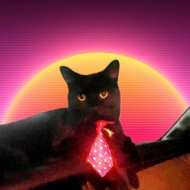 Middle age working cat 😼💥
The early ones will feast in the crypto jungle so don’t miss your shot to make a X100 launch🚀 🍽️🍽️🍣🍣