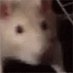 H_kobold (@hishian_kobold) Twitter profile photo H_kobold (@hishian_kobold) Twitter profile photo