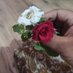 Arif khan عارف (@ruqarif) Twitter profile photo Arif khan عارف (@ruqarif) Twitter profile photo