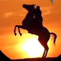 السبيعي🦅 (@dahom872) 's Twitter Profile Photo السبيعي🦅 (@dahom872) 's Twitter Profile Photo