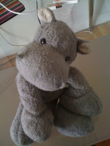 Just your average New York hippo. You got a problem with that?? I didn't think so.