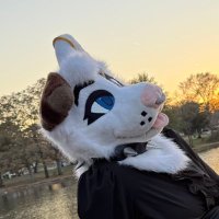 Therian Poster Child ΘΔ ✨➡️ AC (@fahstine) 's Twitter Profile Photo Therian Poster Child ΘΔ ✨➡️ AC (@fahstine) 's Twitter Profile Photo