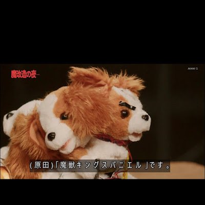 DqIYUnSWhp50412's profile picture.