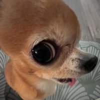 GENZEEGIST (@genzeegist) 's Twitter Profile