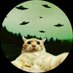 🦆 | 💫 (@itz_fiidel) Twitter profile photo 🦆 | 💫 (@itz_fiidel) Twitter profile photo
