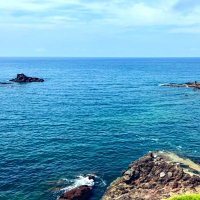 遣唐使『海を「視る」技術』2/28刊行(京大出版) (@takowasa_udon) 's Twitter Profile