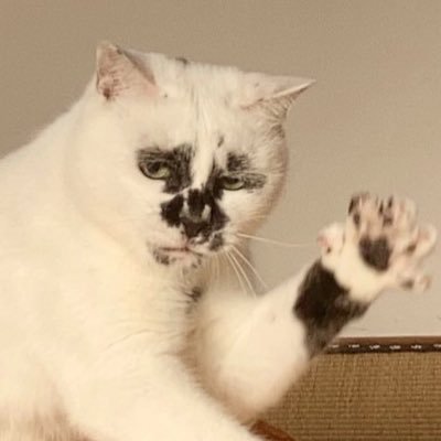 minkn0ri's profile picture. 