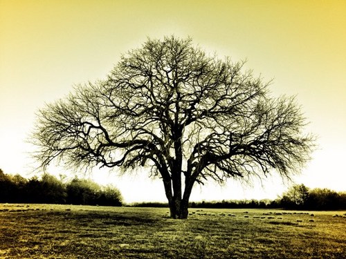 chanceballard's profile picture. https://t.co/nmW4cCt1Oy