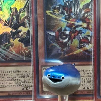 Saba_mochi_'s profile picture. 開拓決闘者