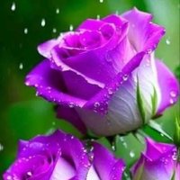 Aya Ebrahim (@aya77ebrahim) 's Twitter Profile Photo Aya Ebrahim (@aya77ebrahim) 's Twitter Profile Photo