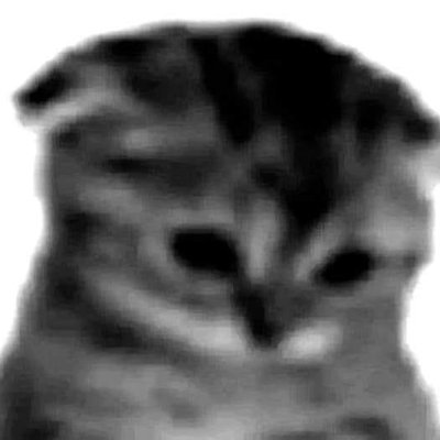 armn_Skibidi's profile picture. 