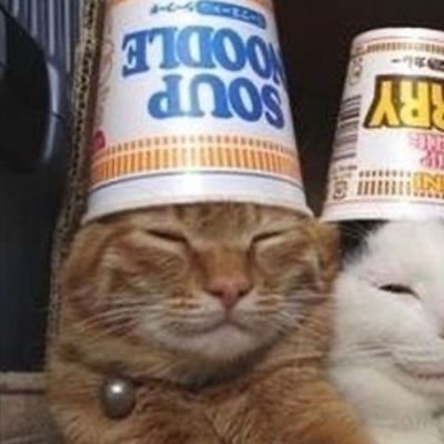 ExagonyQM's profile picture. She/her
I will not post anything! 🫶
19