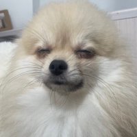 おつまみくん (@hell_two2) 's Twitter Profile