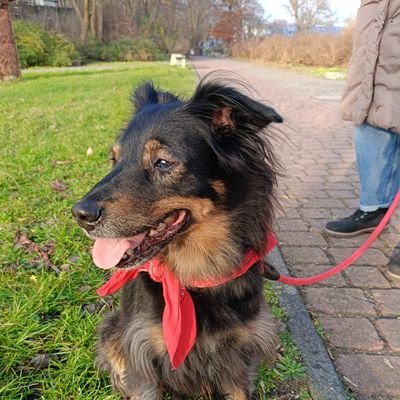 Zwierzaki moja miłość .Natura, rowerzystka od zawsze, książki . ATEISTKA . PIS TO SEKTA JAK I KK.