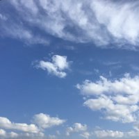 DS (@iglooddd) 's Twitter Profile