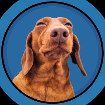 The worlds most lovable pup has found its home on Kadena • $TECKEL • $KDA
