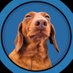 Teckel (@kdateckel) Twitter profile photo Teckel (@kdateckel) Twitter profile photo