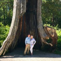 Lynn Krebs (@lynndkrebs) 's Twitter Profile