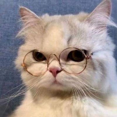 Byzzz988307's profile picture. 