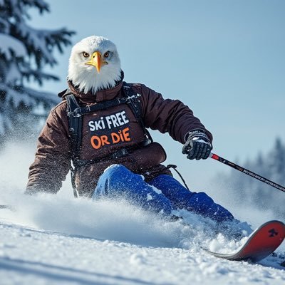 dad, husband, skier, golfer, mountain biker, outdoorsman, liberty lover, and adventure junkie #skitheeast #livefreeordie